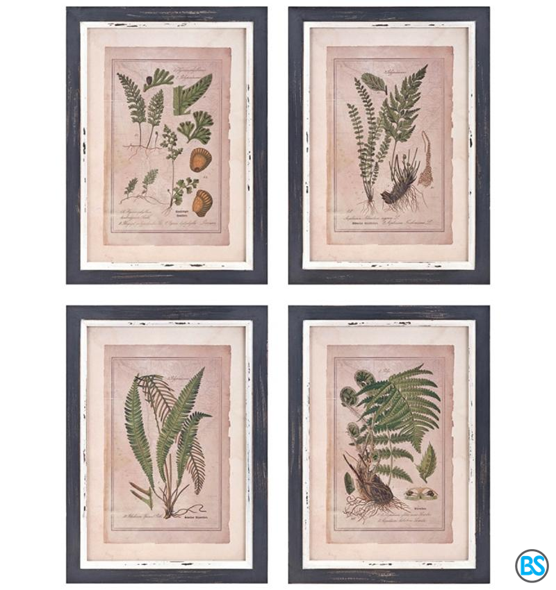 Wall Art | Botanical Print 16 1/2